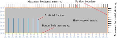 Numerical study of the impact of stress concentration on shale gas production